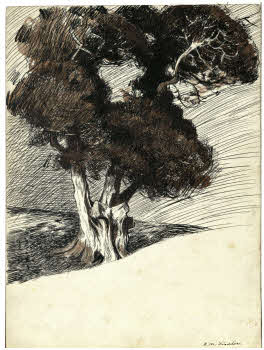 Visualizza l'immagine "FD D 2774 r."